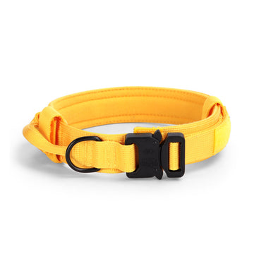 Military Nylon Dog Collar