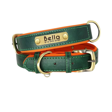 Personalized Leather ID Nameplate Dog Collar