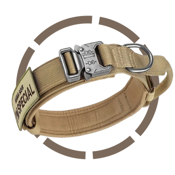Custom 1.5" Durable Dog Collar