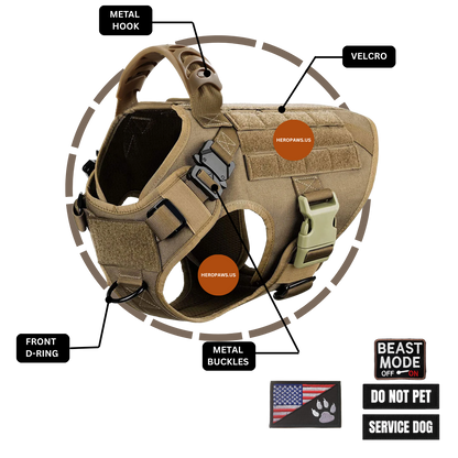 Tactical Dog Harness for Large Breeds