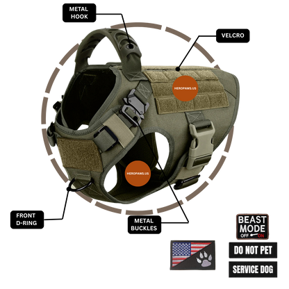 Tactical Dog Harness for Large Breeds